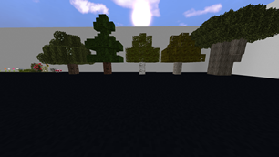 Types of trees