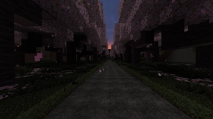Cherry blossom path