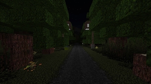 Dark path