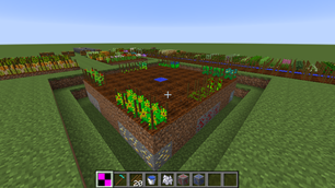 Overview of some crop fields