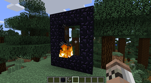 Disabling Nether Portals