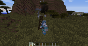 Holding Windmill