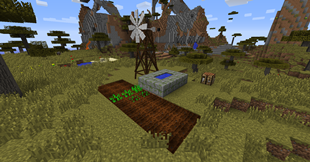 Farm