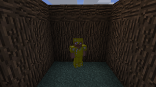 Armor on person