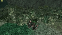 Terrain_007.jpg