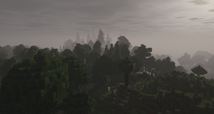 the forest
