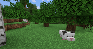 Opossum spawn location