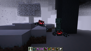 Spiders