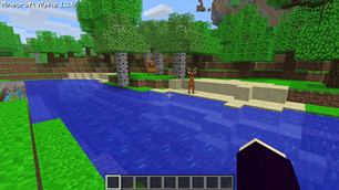 Deer by River