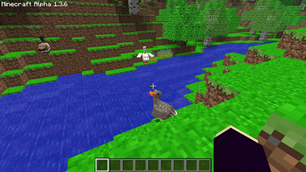 Goose by River