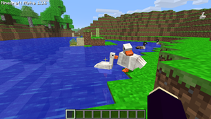 Ducks by River