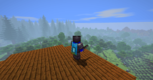 Player with the shaders