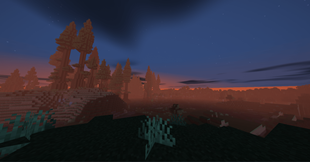 Sunset in a forest at night