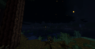 fireflies in a forest at night