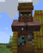 villager names added