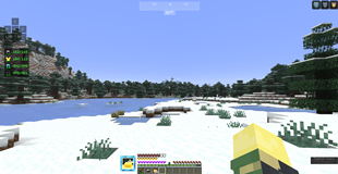5.png