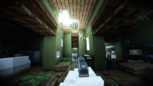 Skylight