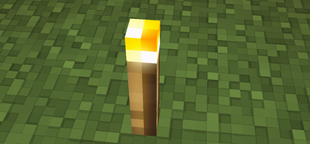 1000757812.png