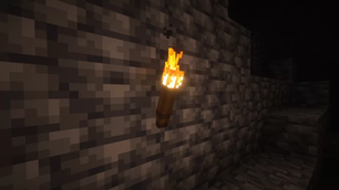 Standard Torch