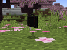 Suitcase_mod_46png.png