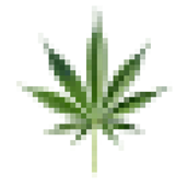 cannabis-leaf-transparent-background-png-2987104538.png