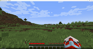 image showing the command for character class