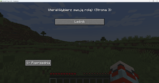 image showing what the character classes are