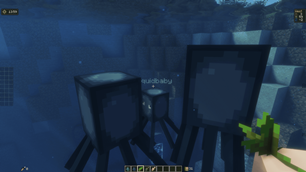 The Squid