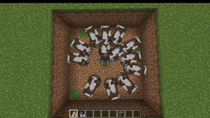 auto_feed.gif