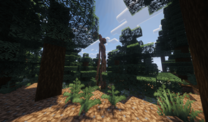 tree?