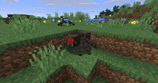 Spider without Resource Pack