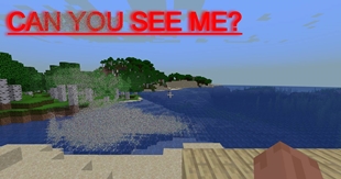 CAN YOU SEE ME?