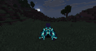 Compatibility with Elytra Trims