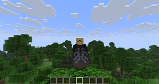 Player Model