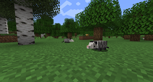 forest_possums.png