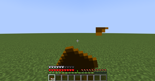The Poop