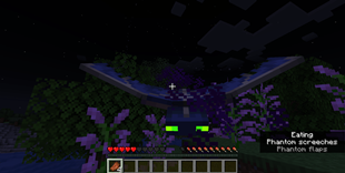 Wild phantom eating particles.png