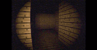 Endless Wooden Maze