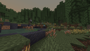 A picture of the Weeping Forest