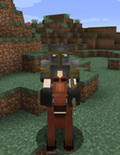 21image.png
