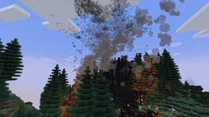 Forest Fire