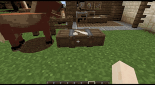 0531(1).gif