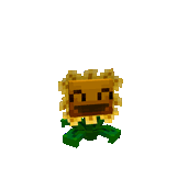 Sunflower1.gif