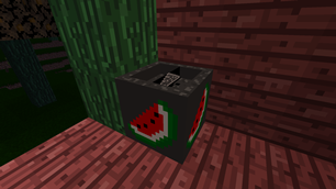 Melon Sclicer2