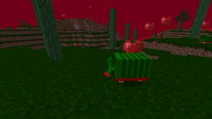 Armadillo