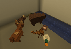 Animals