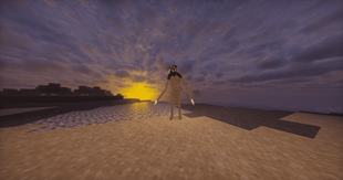 imagedsds.png