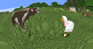 1e73010fc0fab2fef7755018ca5035070a3372c7.png