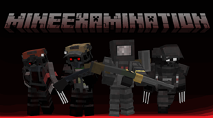 mineexaminationtitle.png