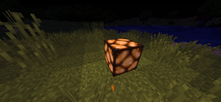 1000758452.png